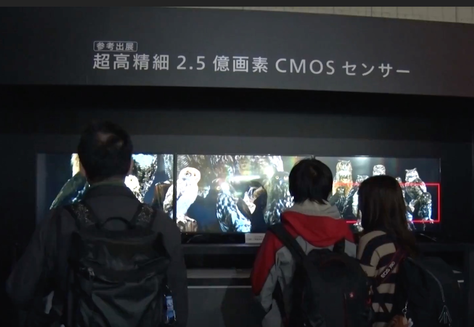 約2.5億画素のCMOSセンサーを応用し制作した約2.5億画素/約10億画素の画像